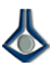RACI Logo 