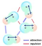 interactions between polar molecules