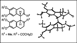 bisisoquinolines