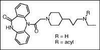 a dibenzodiazepinyl amide